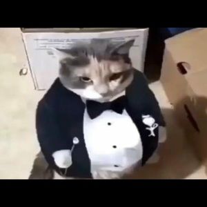 Meet your Posher, Diego